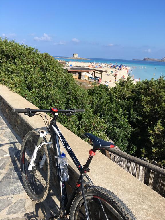 Ema Home Porto Torres Dış mekan fotoğraf